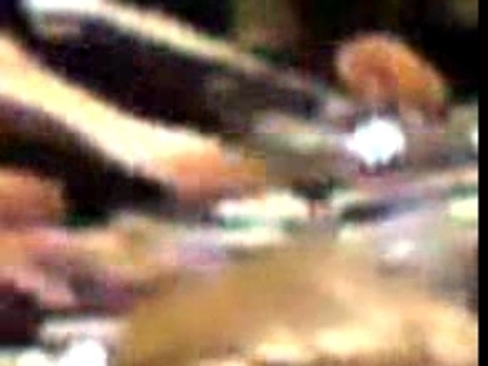 MOV00075