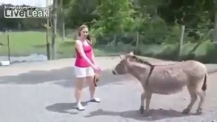 Güzel Kızı Gören Kıskanç Eşek