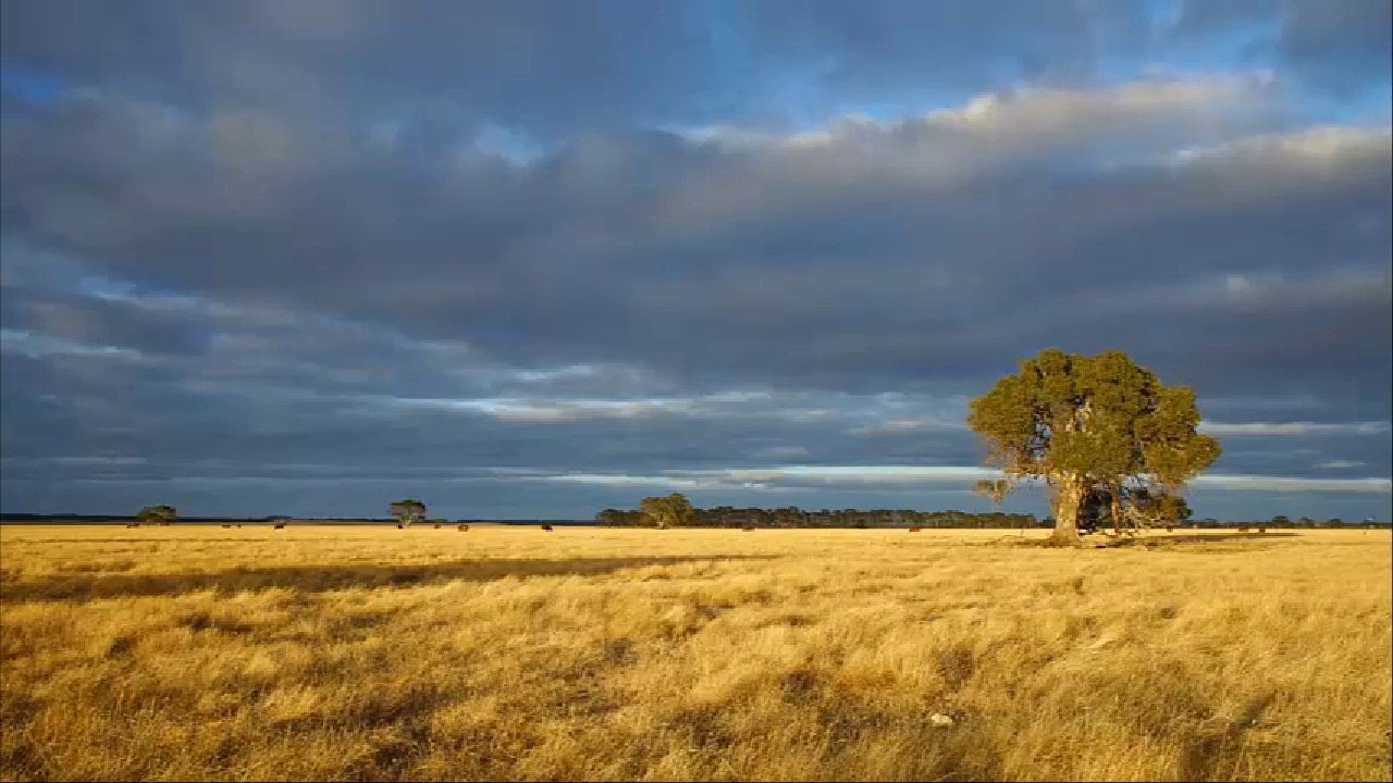 The 2x7 Building Blocks Of The OneBiz Traffic Network