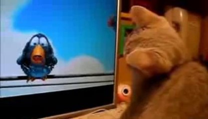 Most Hilarious Videos Of Cats 2014 - Best Funny Kitten Compilation