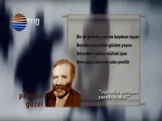 PERİŞAN GÜZEL - Eşinden ayrılan yaralı ördek