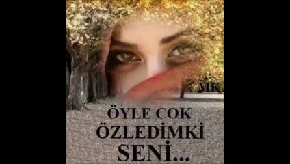 MEHMET KALKAN GÜLÜM