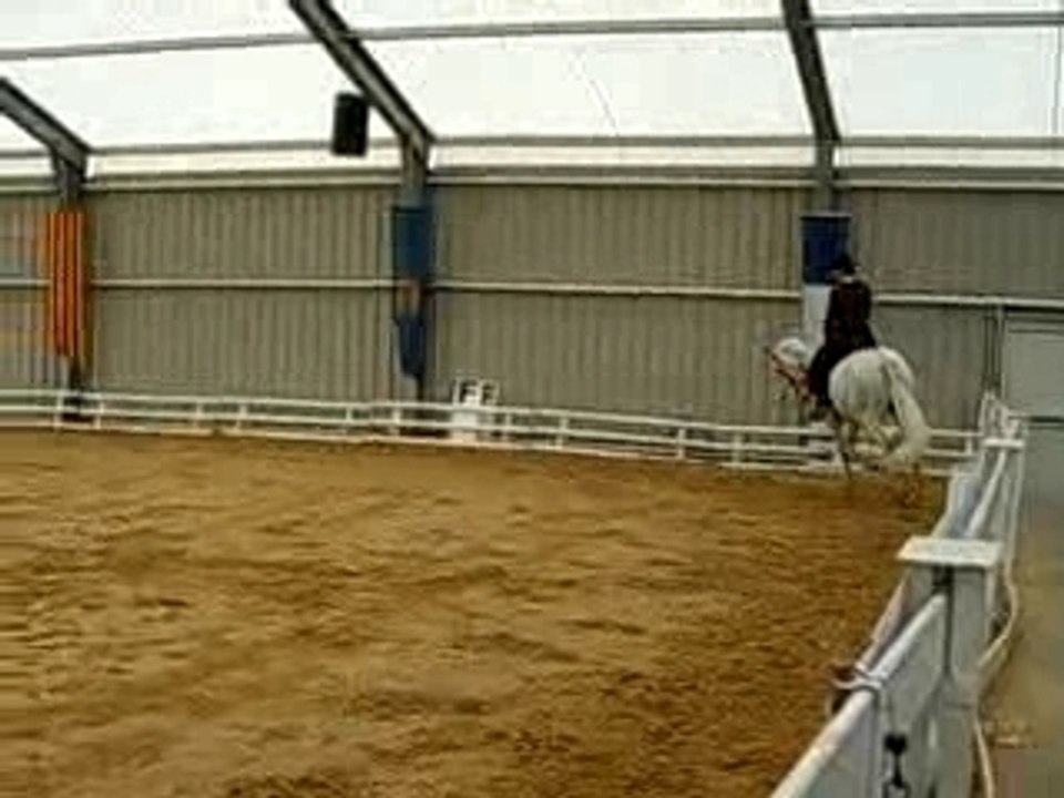 REPRISE DRESSAGE, IBERIQUE