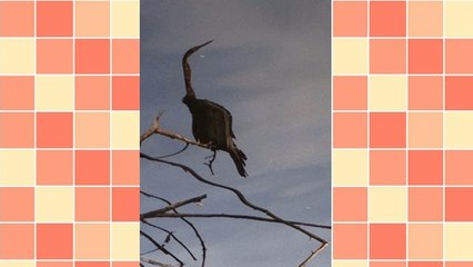 Is Freeware Safe? How To Be A Smart Downloader