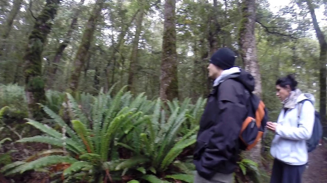Kepler track