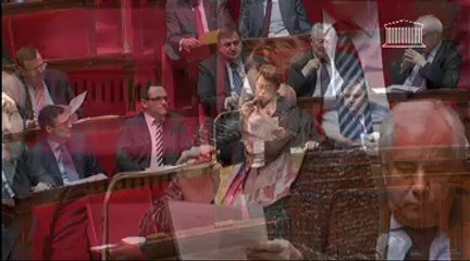 QUESTIONS AU GOUVERNEMENT - Mercredi 29 Janvier 2014