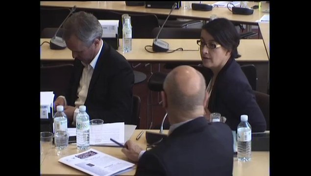 Audition MM. Jean-Marie Collin, directeur de France de parlementaires pour la non-prolifération nucléaire et le désarmement et Patrice Bouveret, directeur de l'observatoire des armements - Mercredi 14 Mai 2014