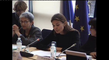 Table-ronde : Vers une Union économique, monétaire et sociale ? le volet social de l’UEM - Mardi 18 Février 2014