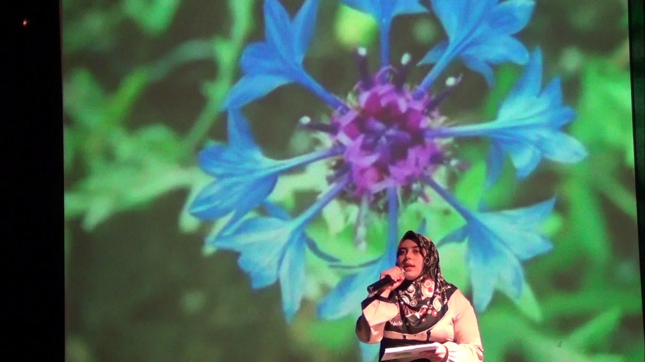 bolu mimar sinan derneği kutlu doğum programı