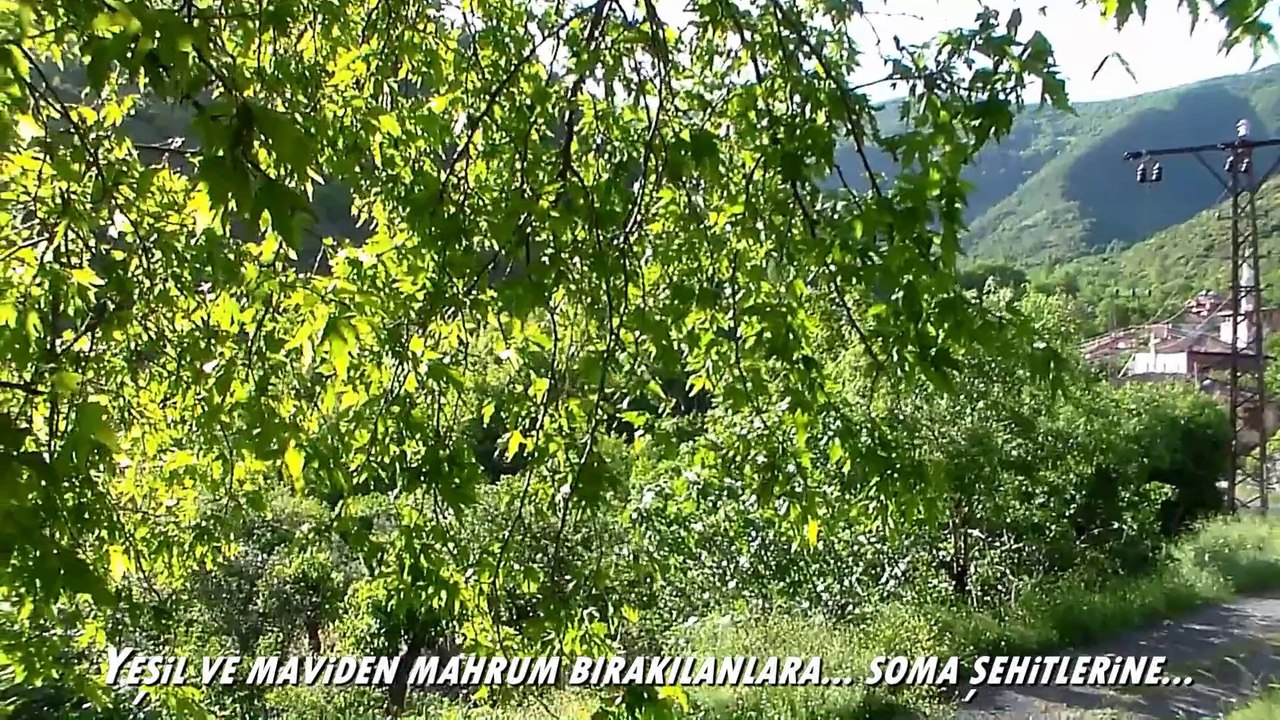 UÇMAKDERE-SOMA'YA. Yeşil ve maviye mahrum bırakılanlara... SOMA şehitlerine...