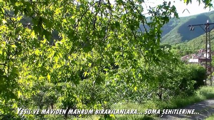 UÇMAKDERE-SOMA'YA. Yeşil ve maviye mahrum bırakılanlara... SOMA şehitlerine...