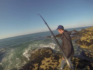 maquereau a la mitraillette du bord de mer