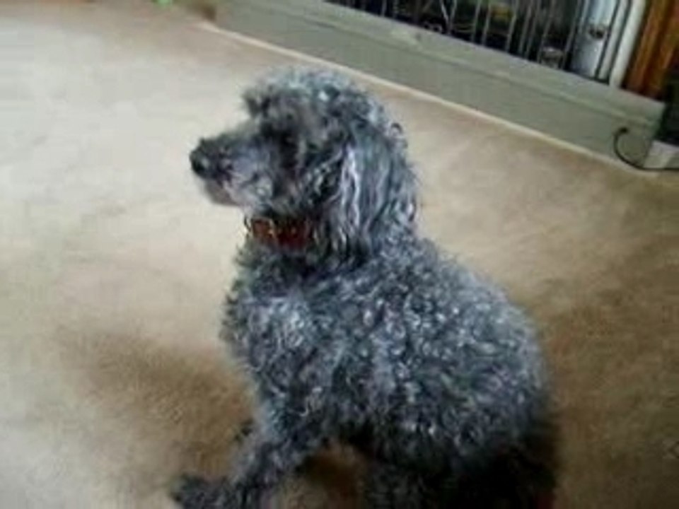 Toby starts to panic