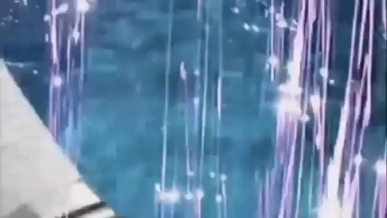 cat trying to fly but not