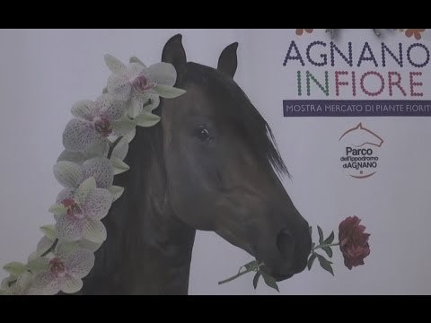 Napoli - Agnano in Fiore, fiera mercato florovivaistica all'Ippodromo (16.05.14)