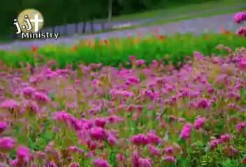 Chanen Hoia (Maria Parvez)