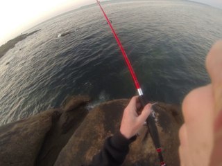 maquereau au jig décroche au bord