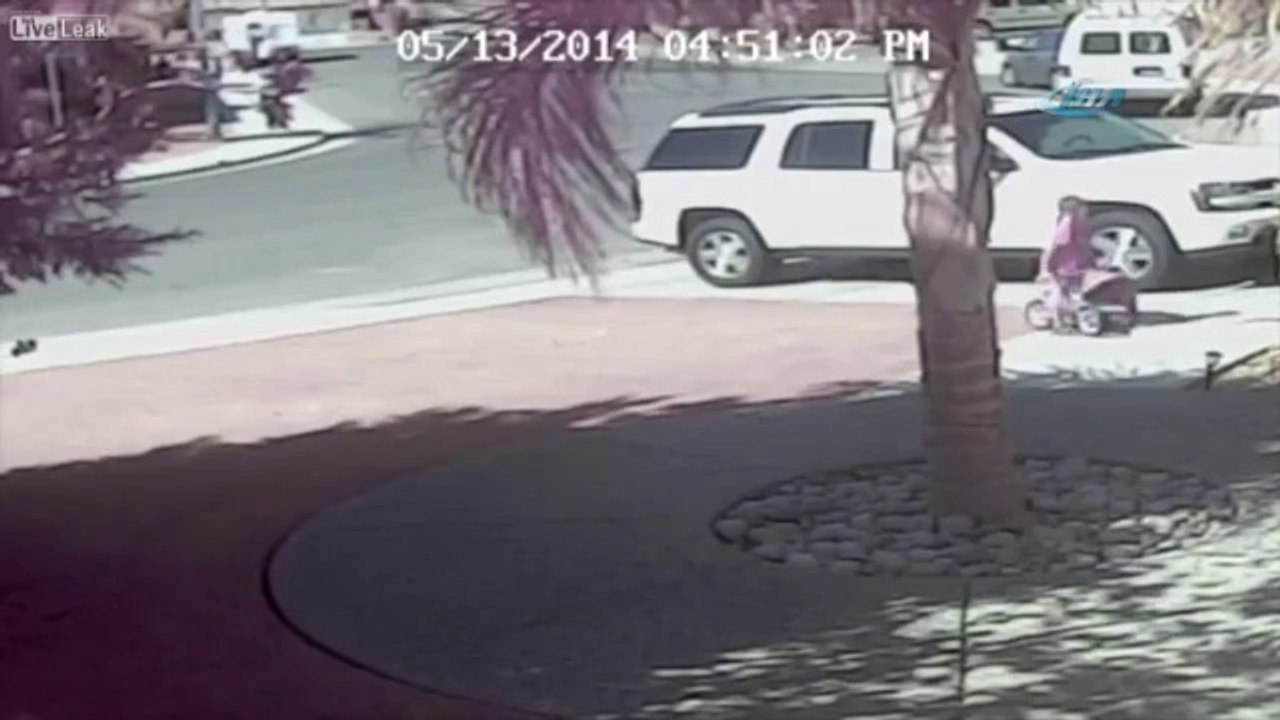 Küçük Çocuğu Köpek Saldırısından Kurtaran Kedi