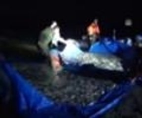 Jandarma'dan inci kefali operasyonu