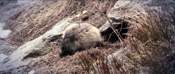 babasurf ecofriendly shoes and textiles