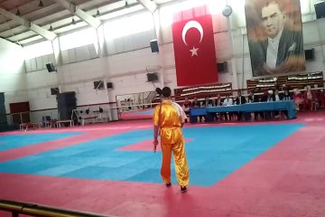 wushu tao annkara il şampiyonası