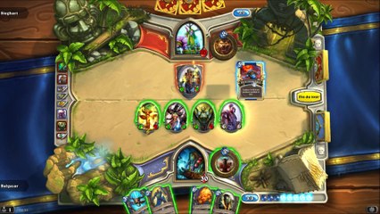 Hearthstone - Chaman flood