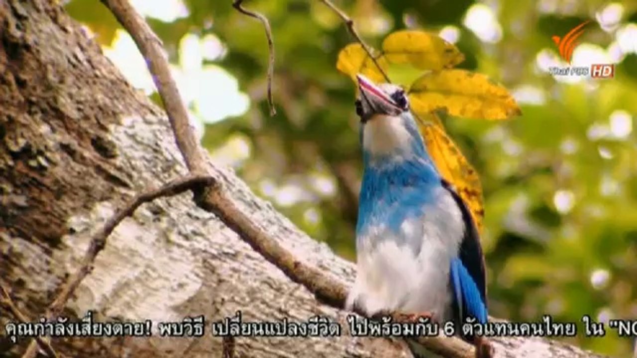 ชีวิตบนกระโจม (1) 14May14