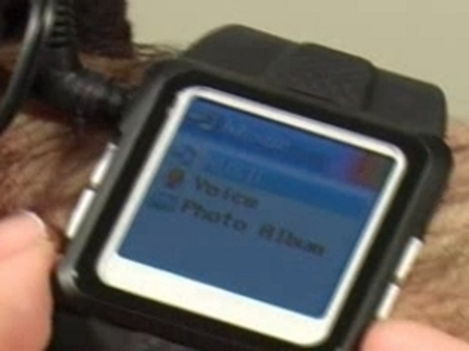 Montre MP3,DIVX,Vidéo, Photo,Dict ,1 go