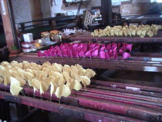 Haute Marne Espoir 2014