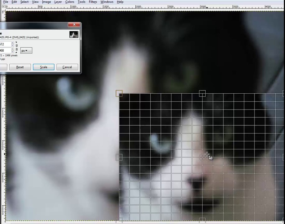 capture-2