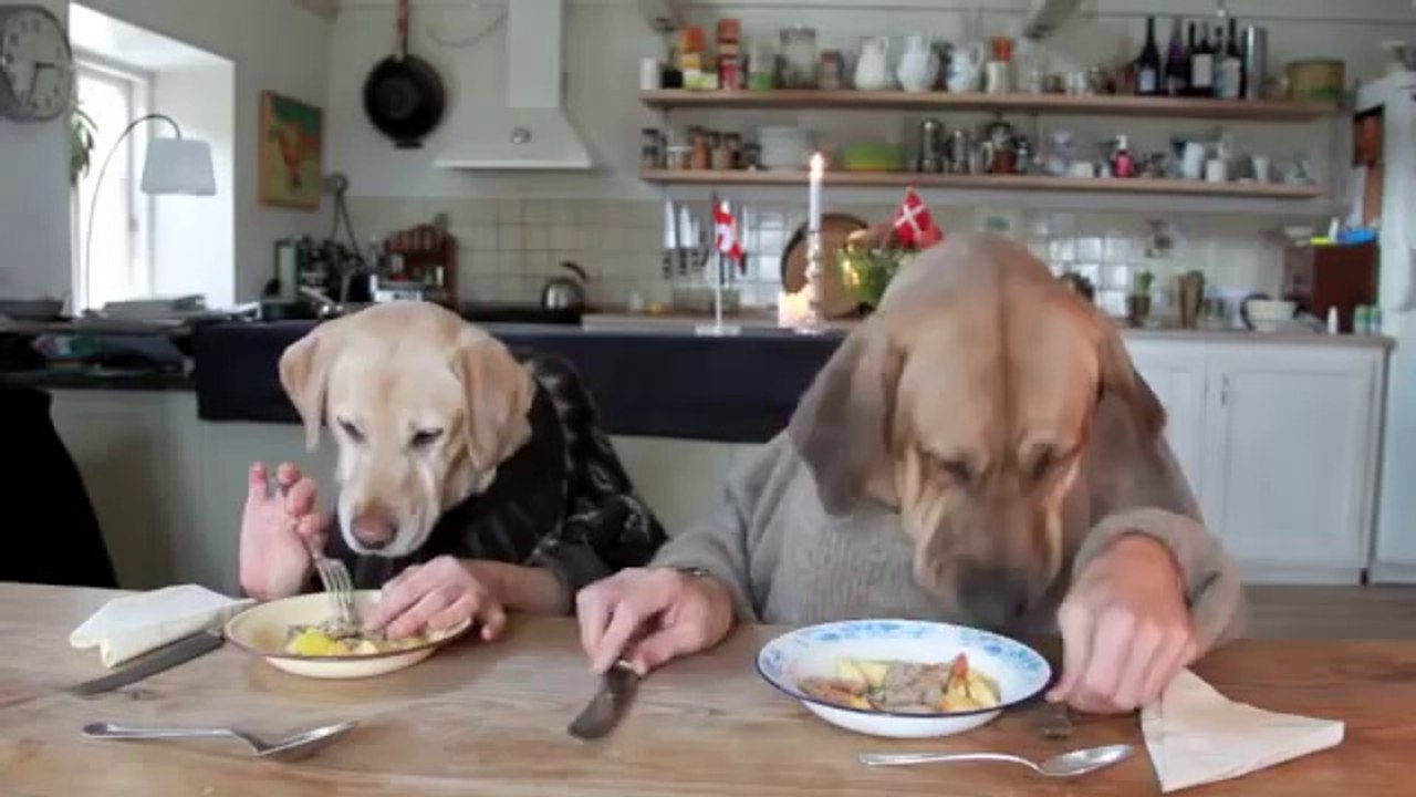 TWO DOGS DINING (hq)