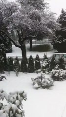 Let it snow in Vancouver