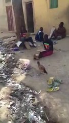 Nijerya'da bir Kur'an-ı Kerim kursunda hafızalık yapan çocuklar.