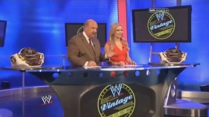 Rulez.WWE.Vintage.Collection.2014.05.18.PDTV.x264-Ebi