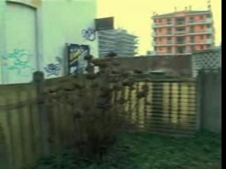 TG Nord Milano - 24-01-07