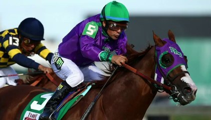 California Chrome Ready For Preakness