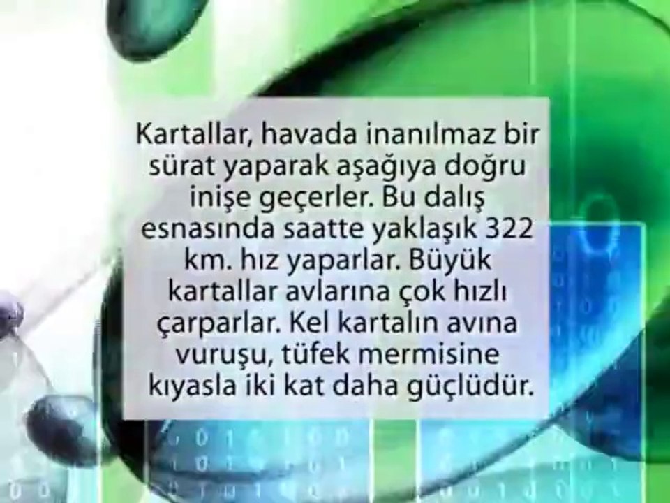 Kartallar