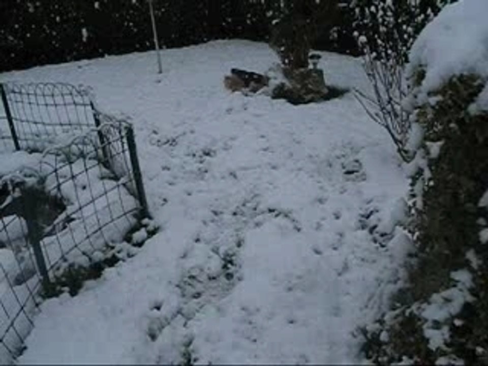 Azzaro dans la neige