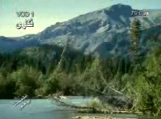 فتاوى الشيخ فريد الآنصاري - الجزء 2