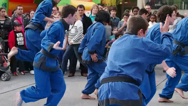 Arts martiaux à Renens