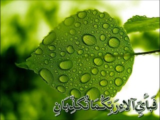 REHMAN SURAH AL QURAN