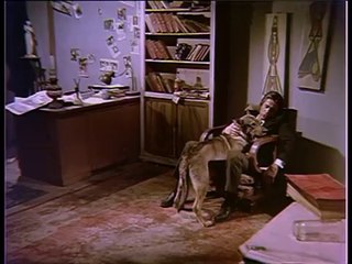 Köpek SEN misin? Yoksa onlar mı?