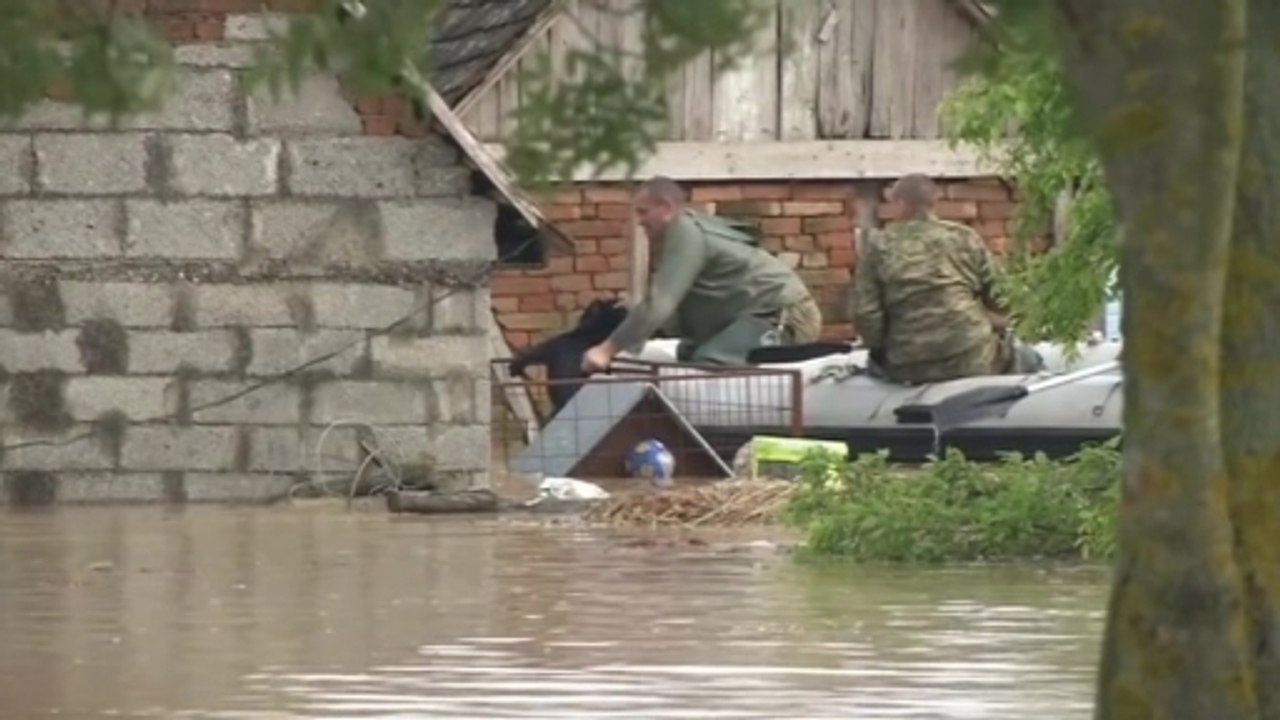 Elderly women, dogs plucked from Croatian floodwaters