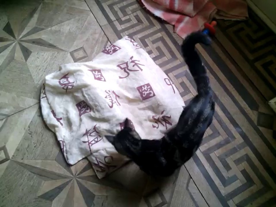 Orphée, mon loulou fou fou fou !!