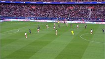 But Zlatan IBRAHIMOVIC (20ème) - Paris Saint-Germain - Montpellier Hérault SC - (4-0) - 17/05/14 - (PSG-MHSC)