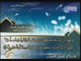 سورة التوبة كاملة الشيخ العيون الكوشي At Tawbah