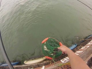 Pescaria em Campinal Maio-2014