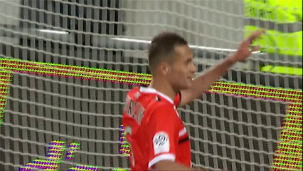 Ligue 1 - Tous les buts de la 38ème journée - 2013/2014