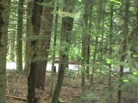 Lezeau/Abchiche - Alsace Vosges 2005