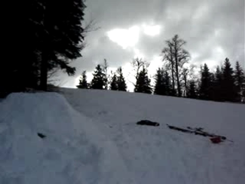 MOV01768